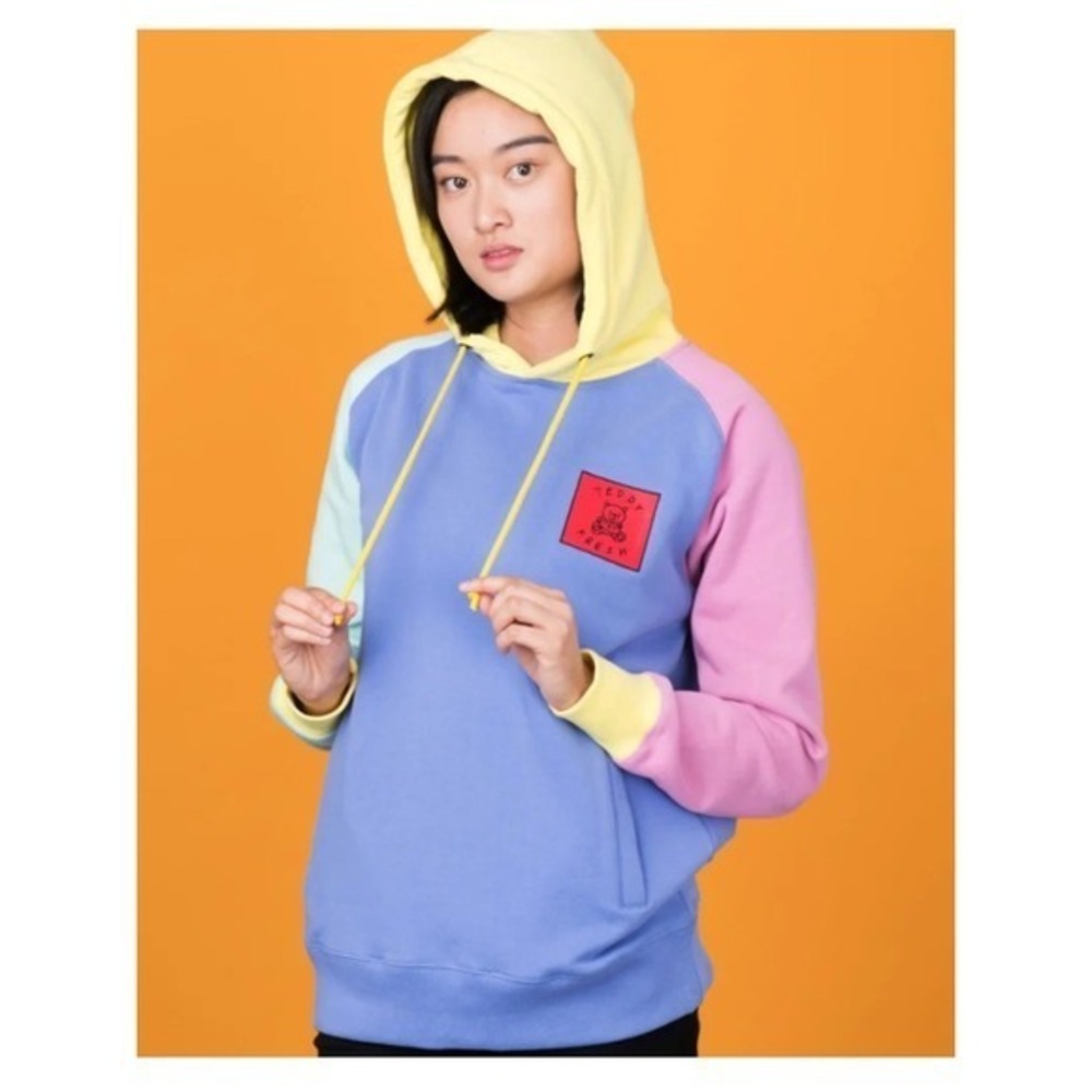 Teddy Fresh Pastel Colorblock Heavyweight Cotton Hoodie S H3H3 Skater Y2K